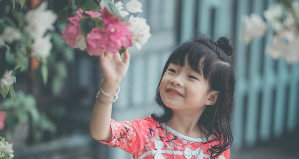 Asian little girl in pink dress touching pink and white flowers